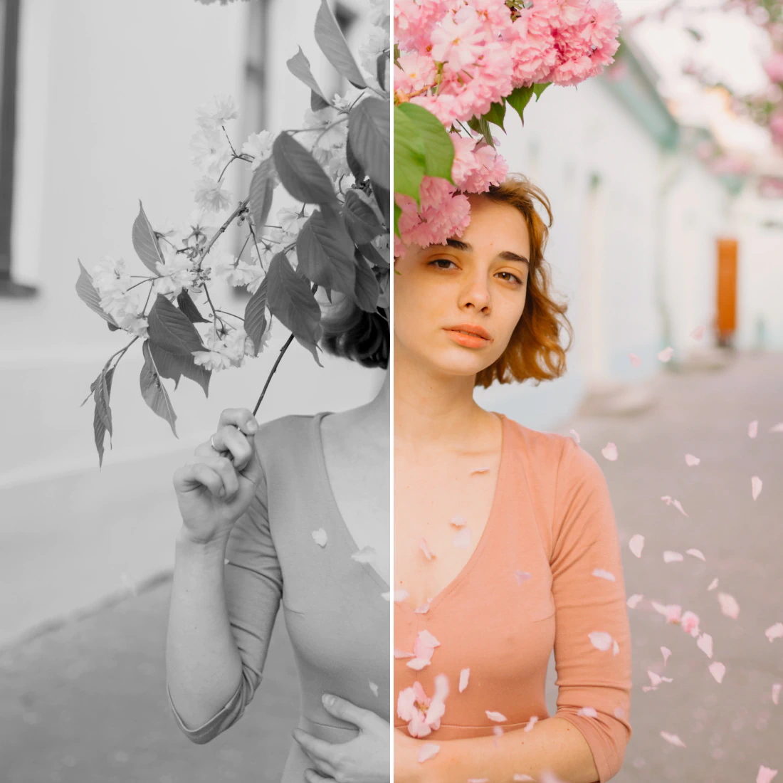 Photoleap app adds color to photos